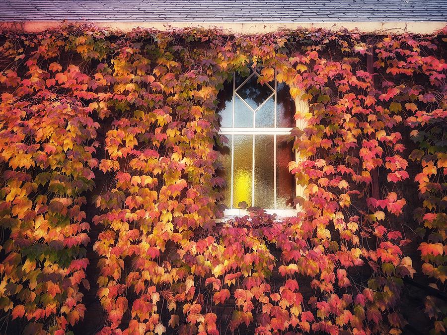 Fall Church Window Photograph by Steph Gabler