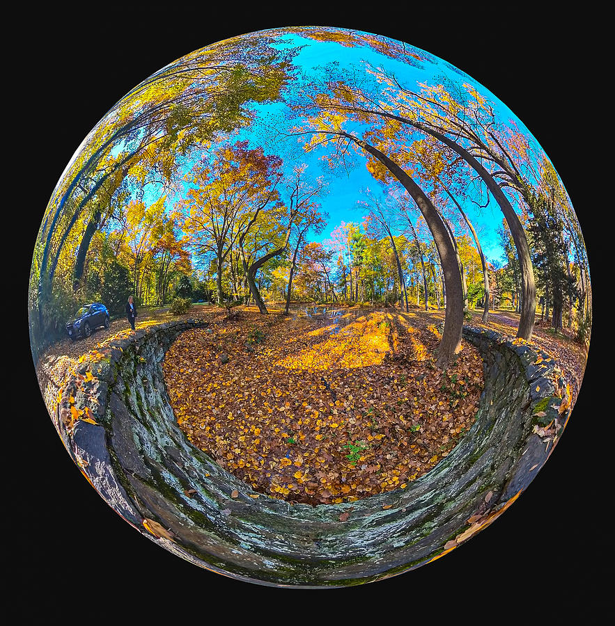 Fall circle Photograph by Roni Chastain