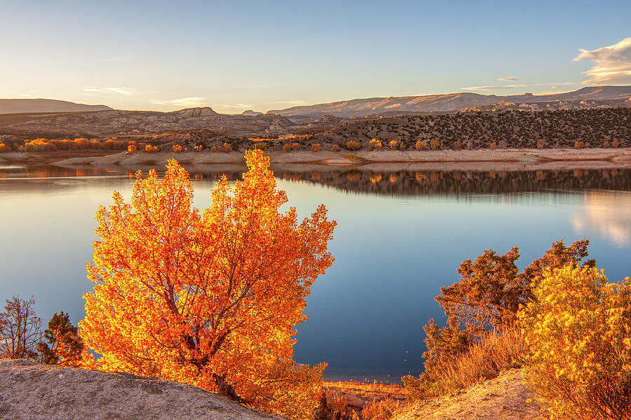 Fall colors at Flaming Gorge Reservoir, Utah Photograph by Tatiana Travelways