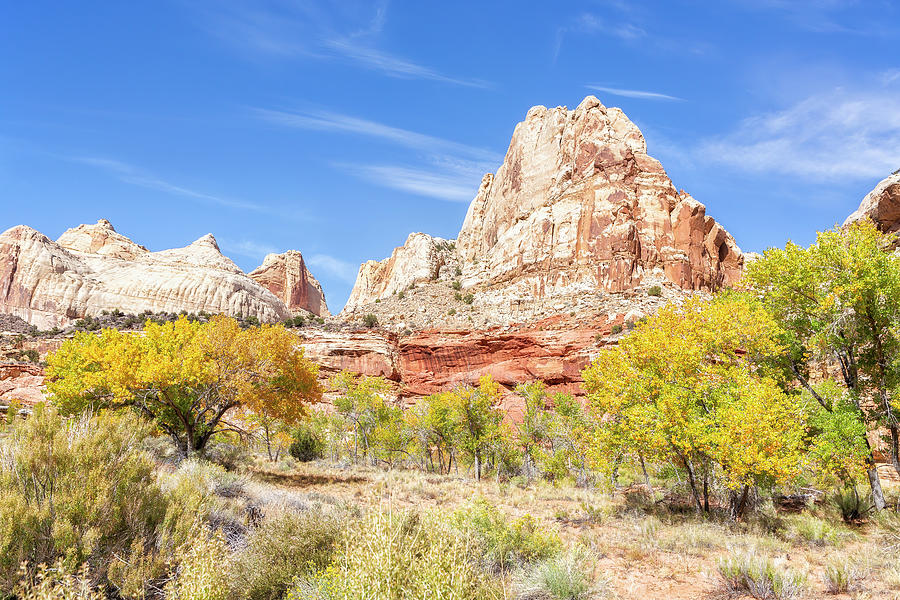 Fall Color Against the Rock Formations of Capitol Reef National  Photograph by Belinda Greb
