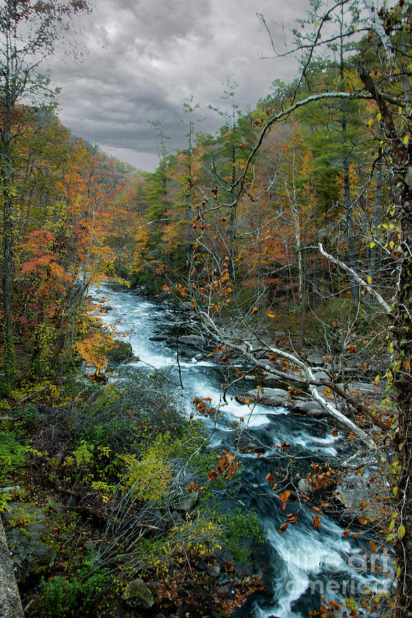 Fall color along Bald River Photograph by Barbara Bowen