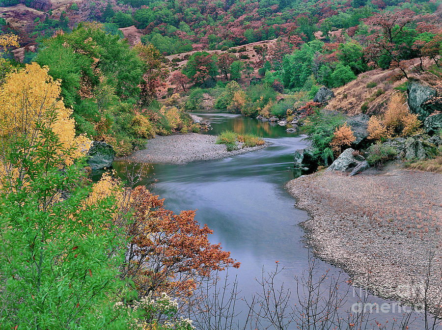 Fall Color And Stream Central California Photograph by Dave Welling