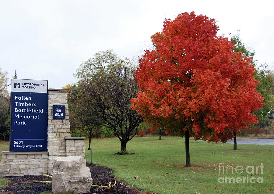 Fall Color at Fallen Timbers Battlefield 7221 Photograph by Jack Schultz