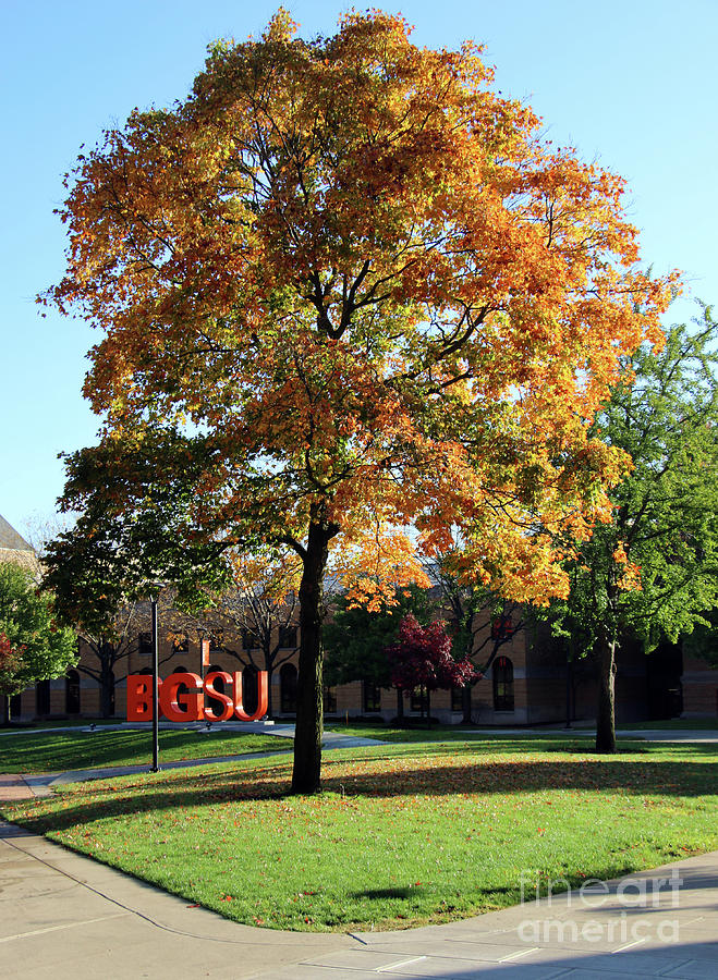 Fall Color Bowling Green State University 7182 Photograph by Jack Schultz