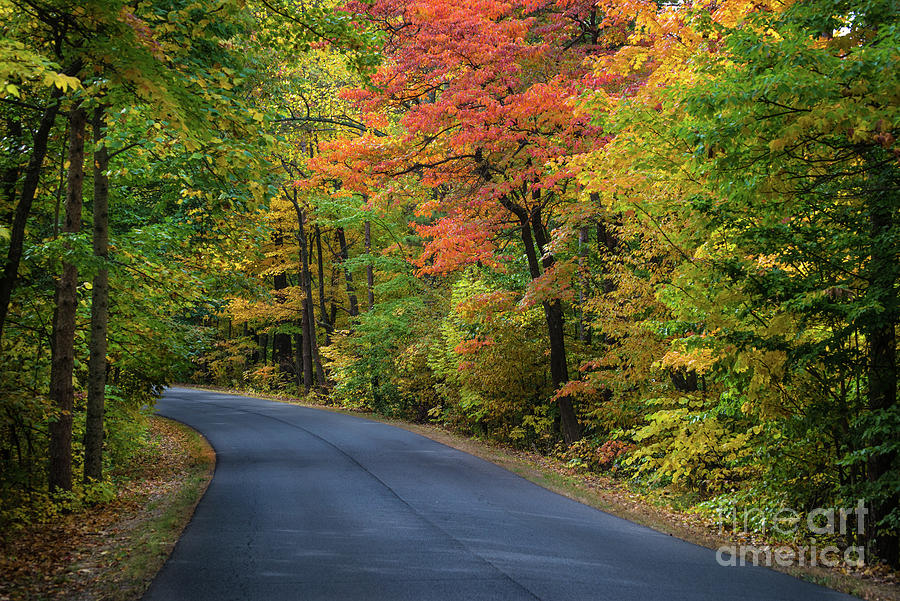 Fall Color - Brown County State Park - Indiana Photograph by Gary Whitton