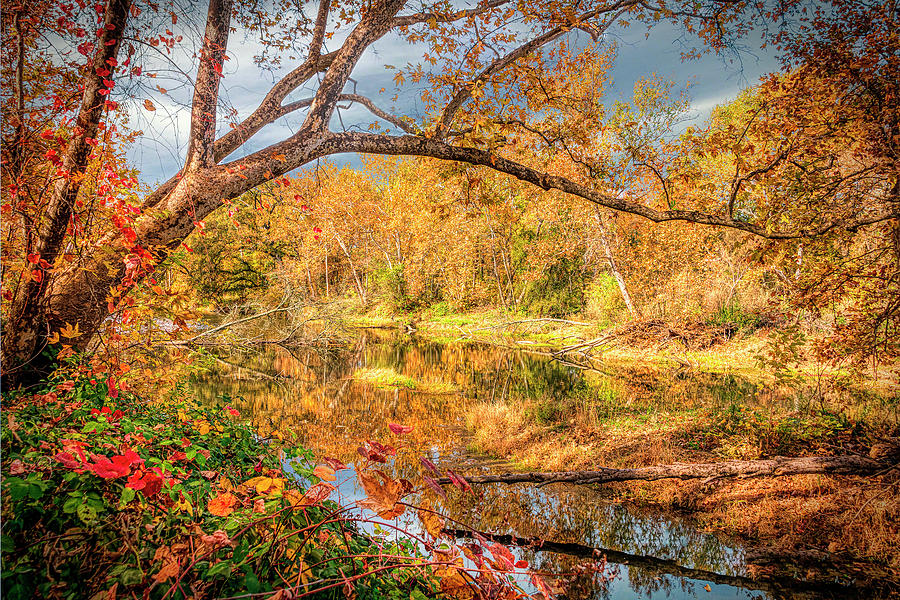 Fall Color Calm by William Havle Fall Color Calm by William Havle