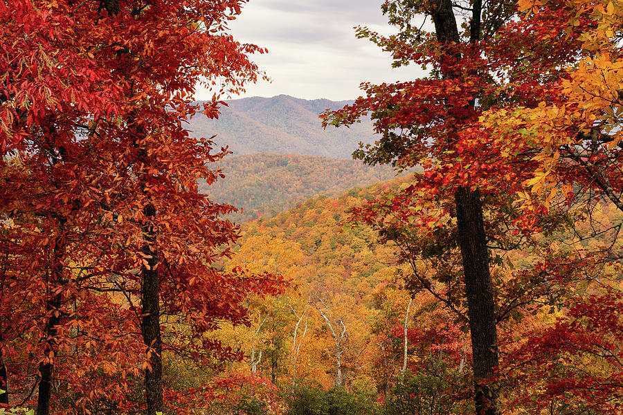 Fall Color Frames Mountains on Blue Ridge Parkway Photograph by Joni Eskridge
