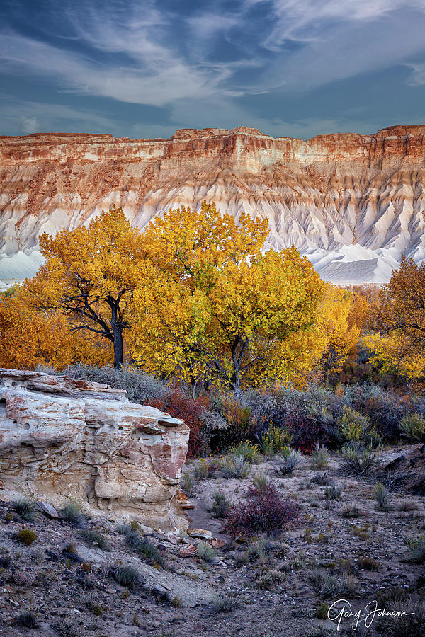 Fall Color In Capitol Reef Photograph by Gary Johnson
