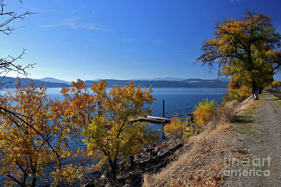 Fall Color Lake Coeur dAlene Photograph by Cindy Murphy