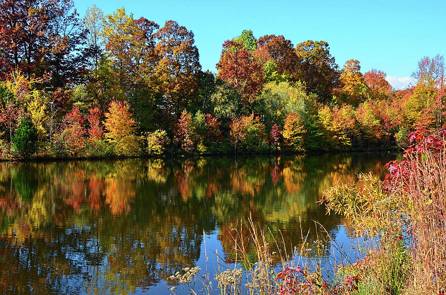Fall color lake reflection Photograph by Ronda Ryan