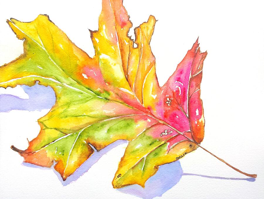 Fall Color Leaf with Shadow	 Painting by Carlin Blahnik CarlinArtWatercolor