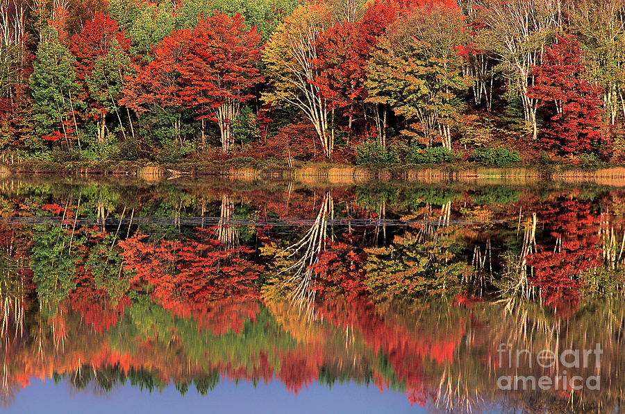 Fall Color Reflected in Thornton Lake Michigan Photograph by Dave Welling