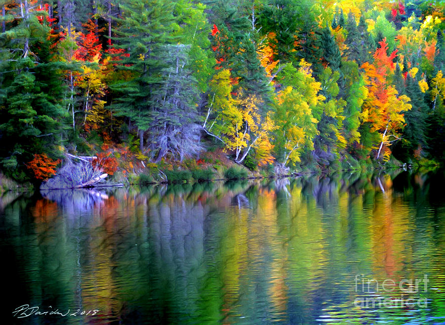 Fall Photograph - Fall Color Reflections by Pat Davidson