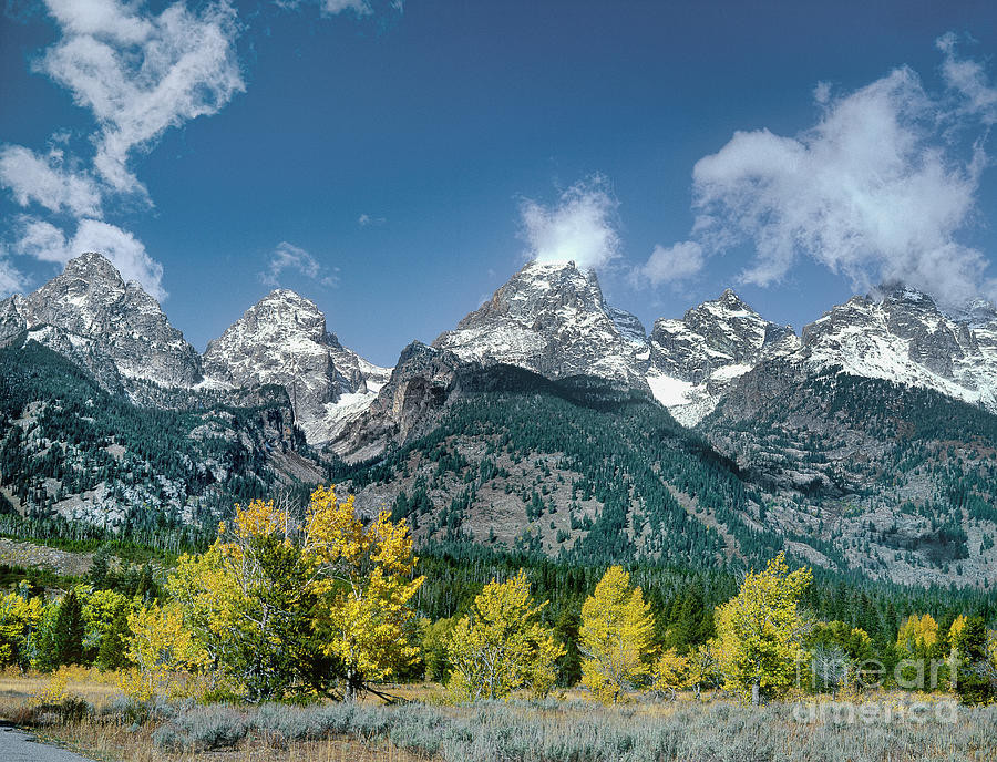 Fall Color Teton Range Grand Tetons National Park Photograph by Dave Welling