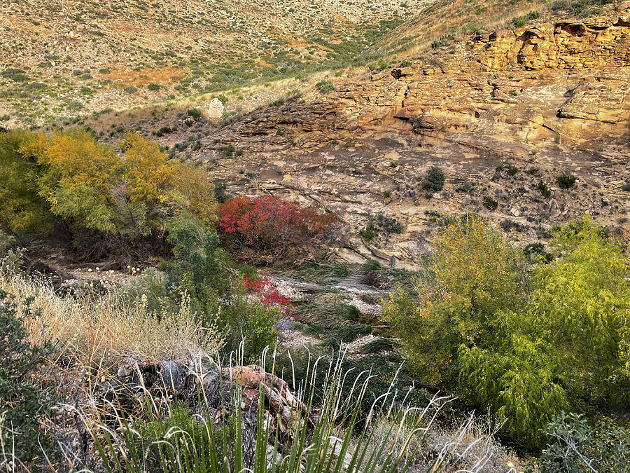 Fall Colors 2-Sitting Bull Falls, New Mexico-Guadalupe Mountains, Lincoln National Forest Photograph by Richard Porter