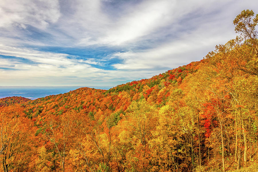 Fall Colors along Georgia Highway 52 near Fort Mountain State Park Photograph by Peter Ciro