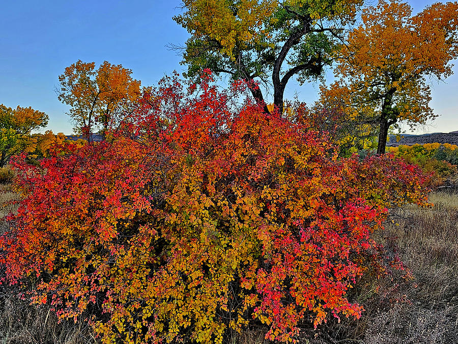 Fall Colors along I-70 Photograph by Ray Mathis