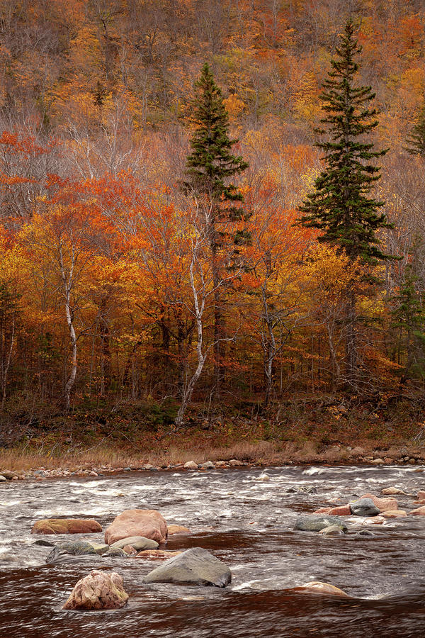 Fall colors along the Cheticamp River Photograph by Irwin Barrett