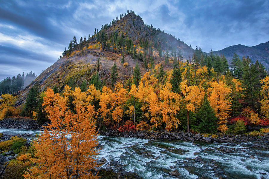 Fall colors along the river Photograph by Lynn Hopwood