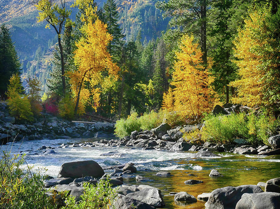 Fall colors and green conifers in Tumwater Canyon  Photograph by Steve Estvanik