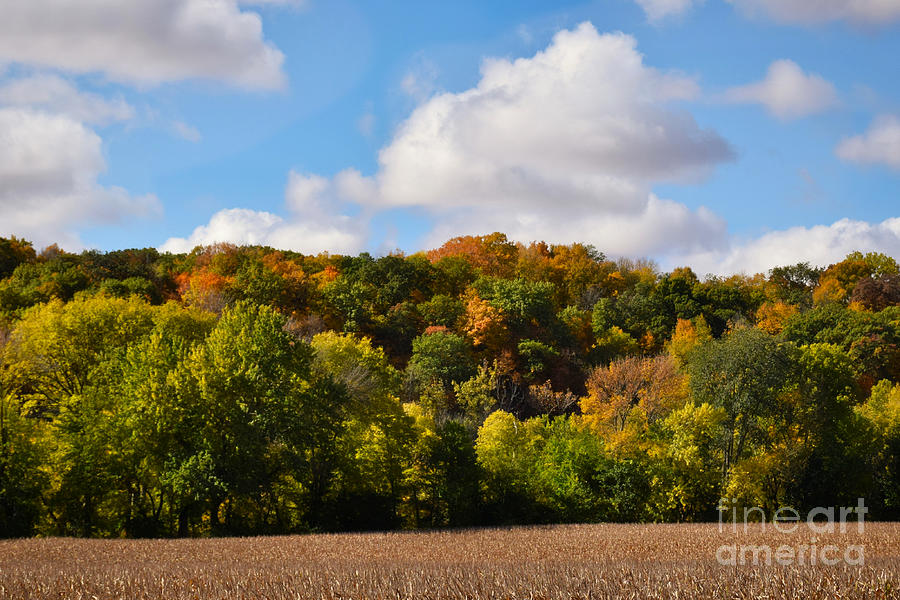 Fall Colors And Harvesting Season Photograph by Kathy M Krause