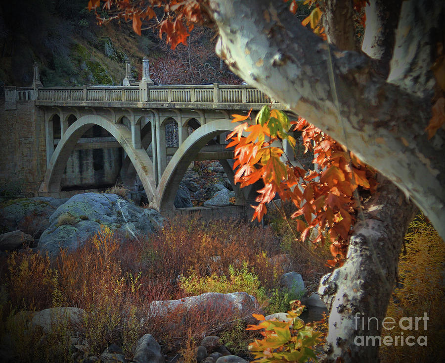 Fall Colors and Old Bridge Photograph by Stephanie Laird