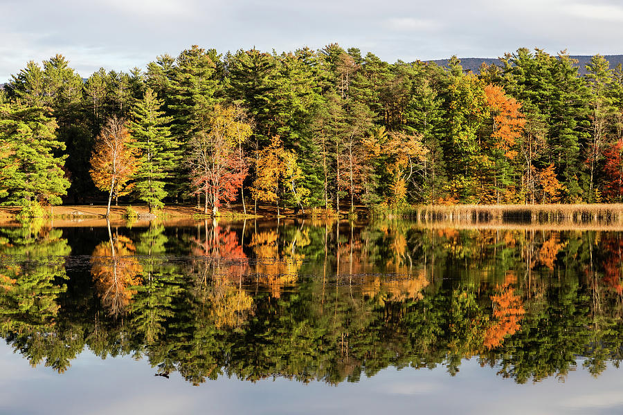 Fall Colors And Reflections Photograph by Elvira Peretsman