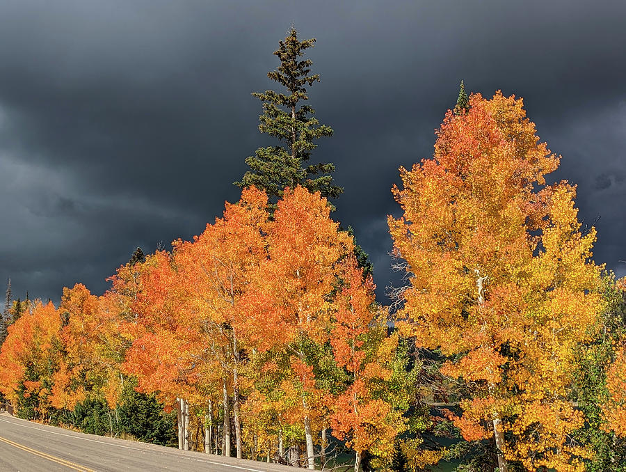 Fall colors and storm clouds over Navajo Lake Utah Photograph by Robert ...