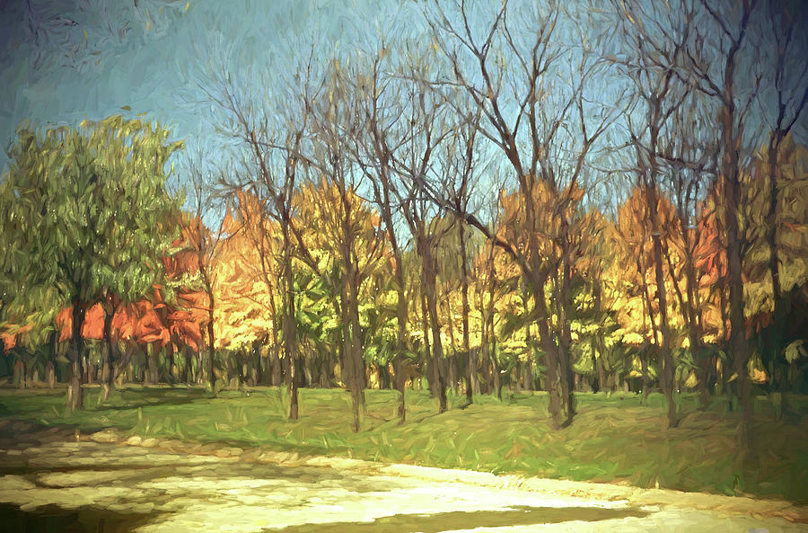 Fall colors and trees  Digital Art by Cathy Anderson