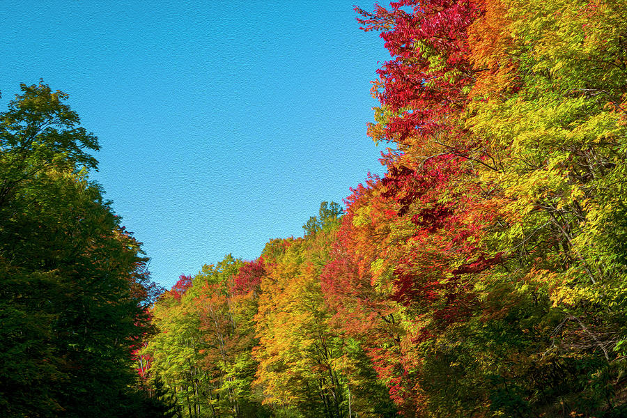 Fall Colors Art Work Photograph by Sandra Js