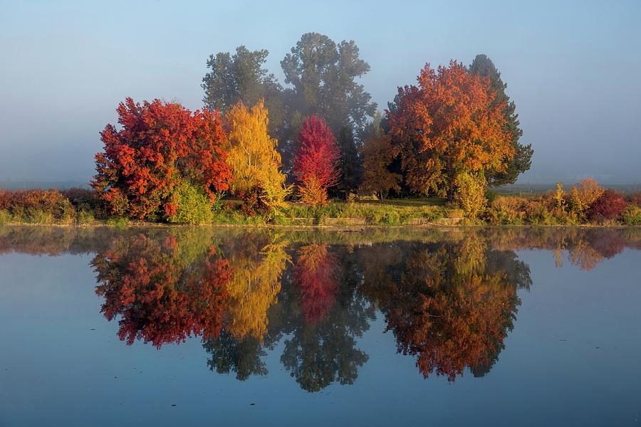 Fall colors as the fog lifted Photograph by Lynn Hopwood