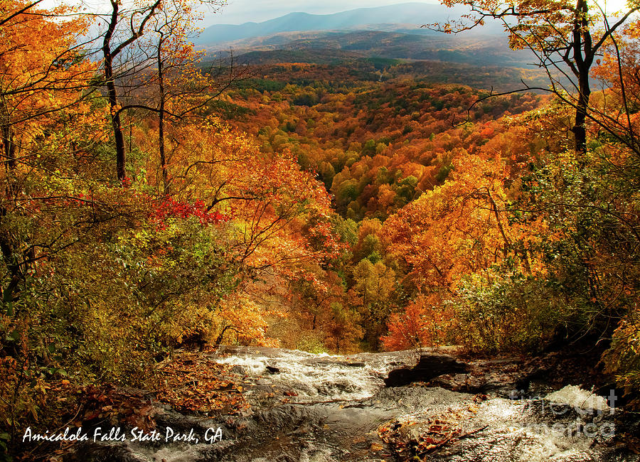 Fall Colors at Amicalola Falls State Park Photograph by Barbara Bowen