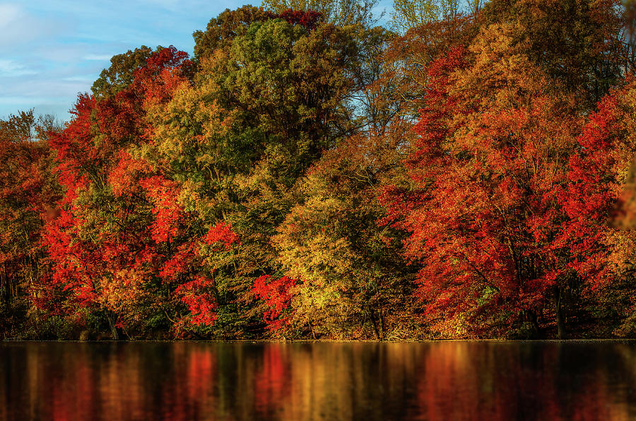 Fall Colors at Brinton Lake Photograph by Judy Wolinsky