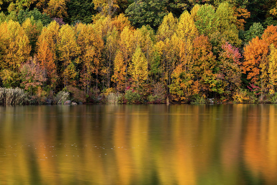 Fall colors at Chambers Lake in Coatesville, PA 1 Photograph by David ...