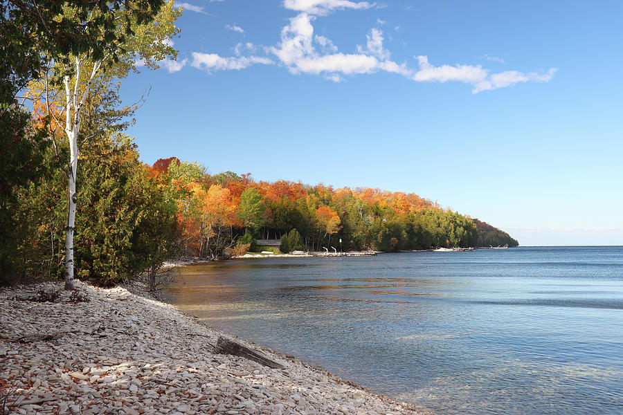 Fall Colors at Garrett Bay Photograph by David T Wilkinson