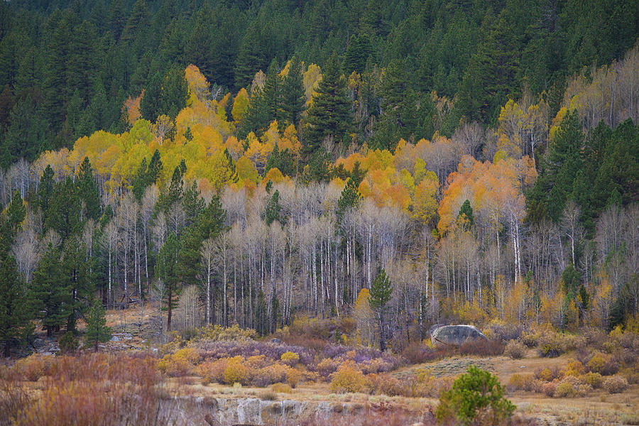 Fall Colors at Hope Valley by Jonathan Hansen Fall Colors at Hope Valley by Jonathan Hansen