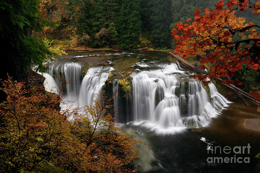 Fall Colors at Lower Lewis Falls in Washington Photograph by Tom Schwabel