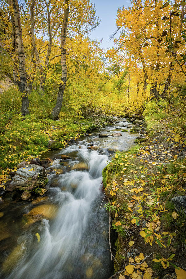 Fall Colors at McGee Creek Photograph by Alexander Kunz