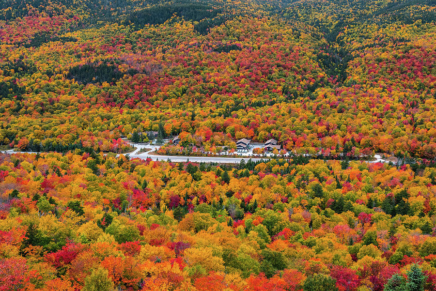 Fall Photograph - Fall Colors at Pinkham Notch - New Hampshire by Jatin Thakkar