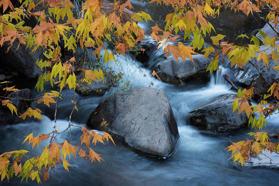 Fall Colors at Slide Rock Arizona Photograph by Dave Dilli