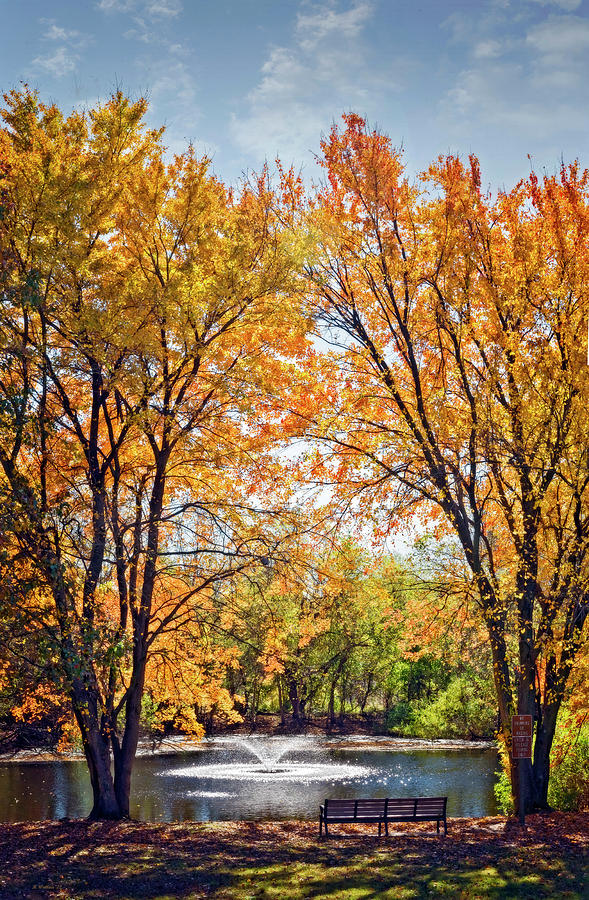 Fall Colors At The Duck Pond Photograph by Brian Wallace