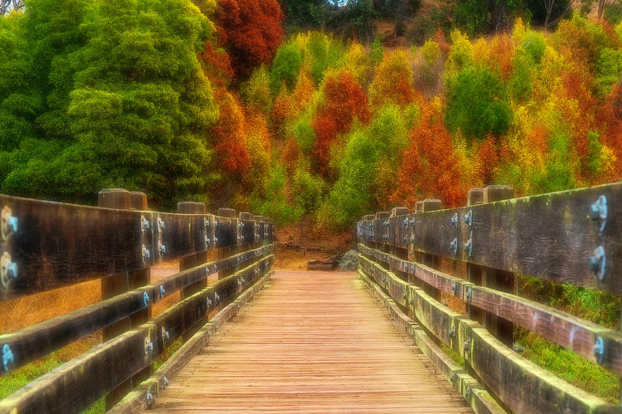 Fall Colors at the End of the Bridge Photograph by Lindsay Thomson