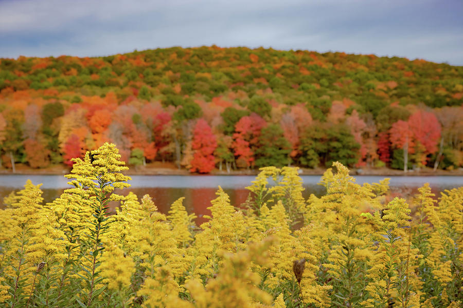 Fall Colors by the Lake 2 Photograph by Rich Isaacman