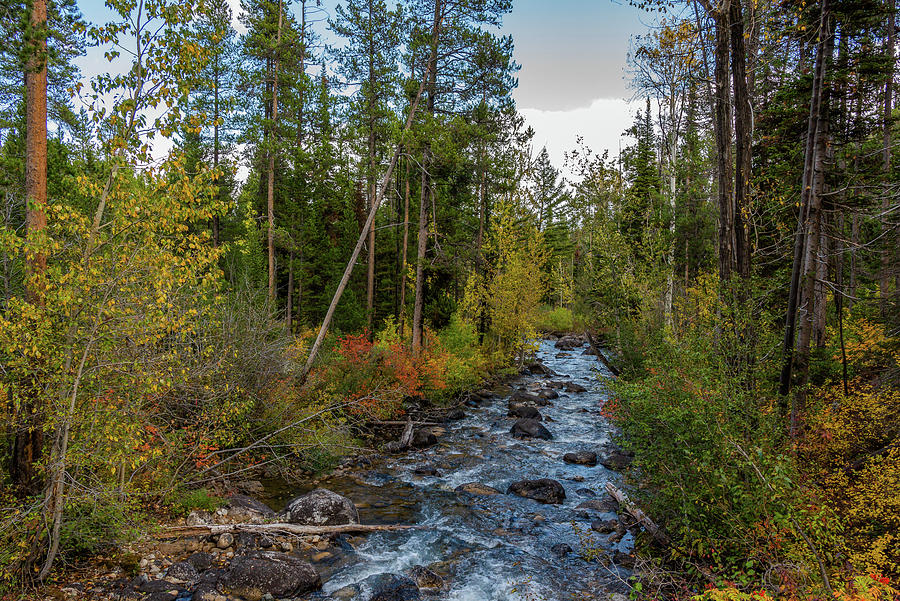 Fall Colors By The Stream Photograph by Yeates Photography
