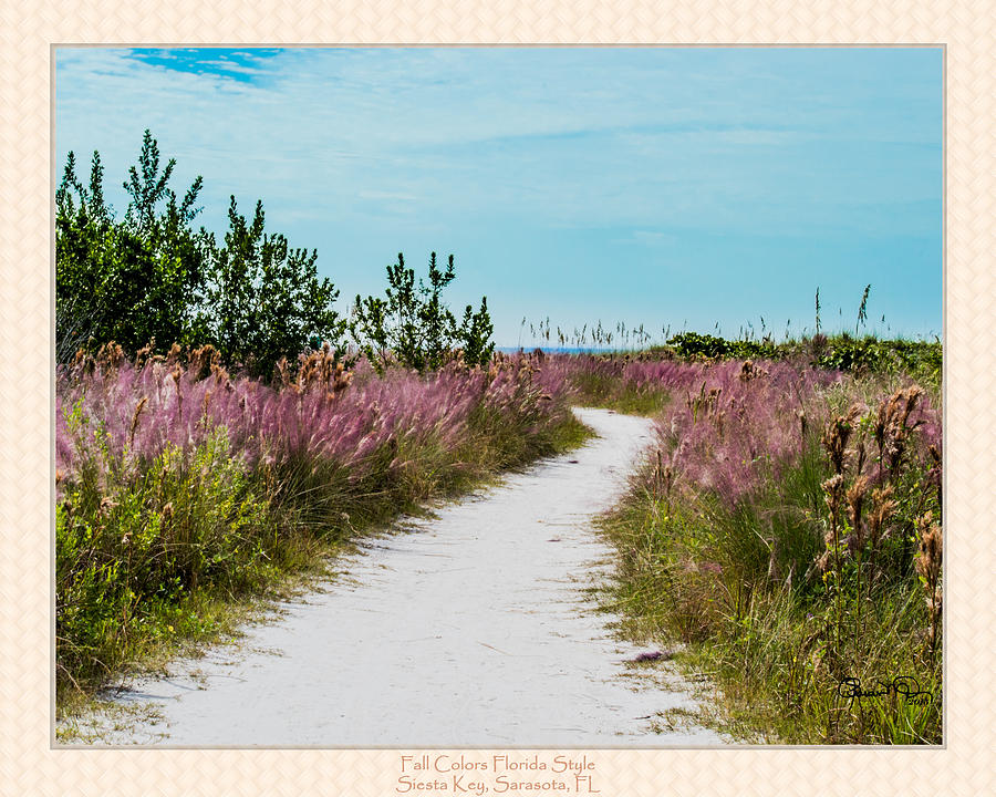 Fall Colors Florida Style - Matted Photograph by Susan Molnar