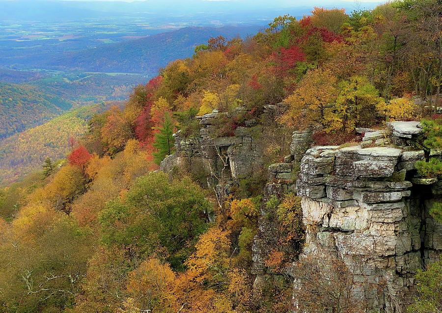 Fall Colors in Appalachia Photograph by Lori Coleman
