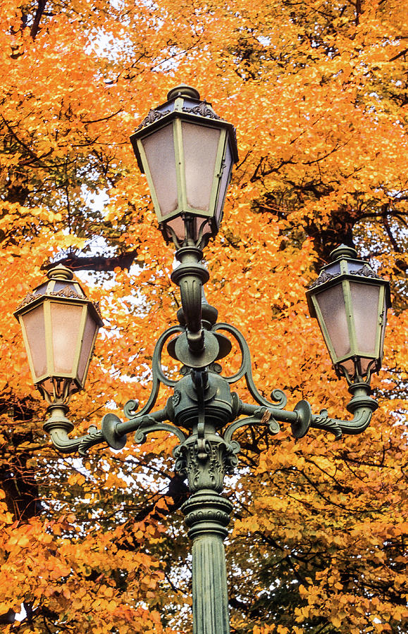 Fall Colors in Bergamo, Italy Photograph by Dan Westfall - Pixels