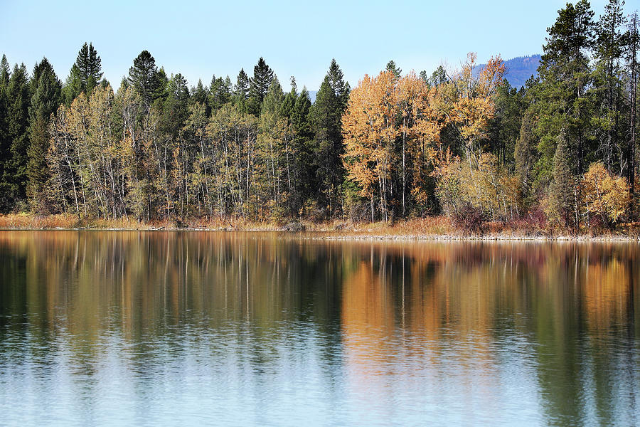 Fall Colors in Glacier National Park Photograph by Michael Peak | Fine ...