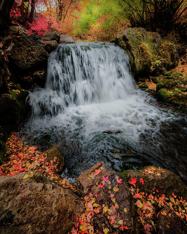 Fall Colors in Logan Canyon, UT Photograph by John Wilbur Fall Colors in Logan Canyon, UT Photograph by John Wilbur