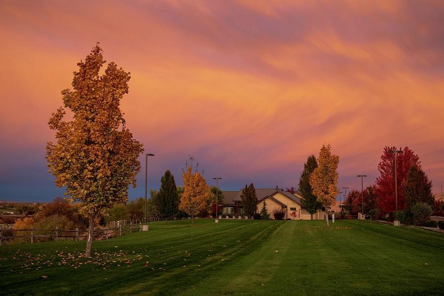 Fall colors in Prosser Photograph by Lynn Hopwood